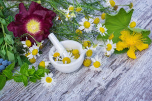 Bachblüten-Herstellung